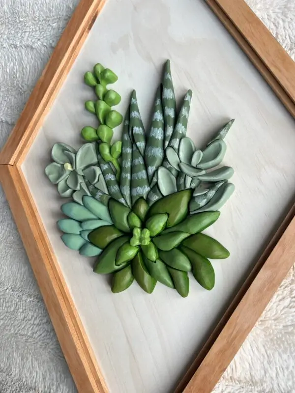 Succulent Diamond - Image 2